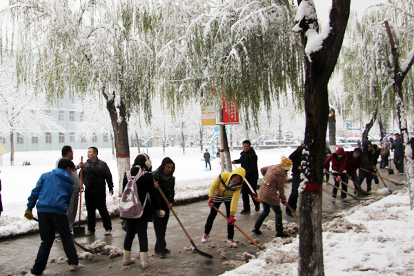 我院学生积极开展义务劳动清扫积雪 我院学生积极开展义务劳动清扫积雪