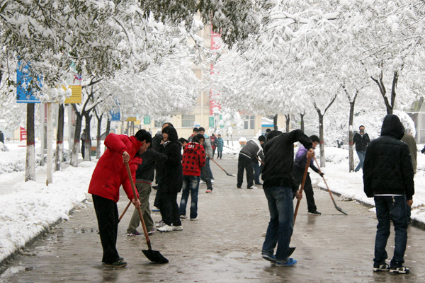 我院学生积极开展义务劳动清扫积雪 我院学生积极开展义务劳动清扫积雪