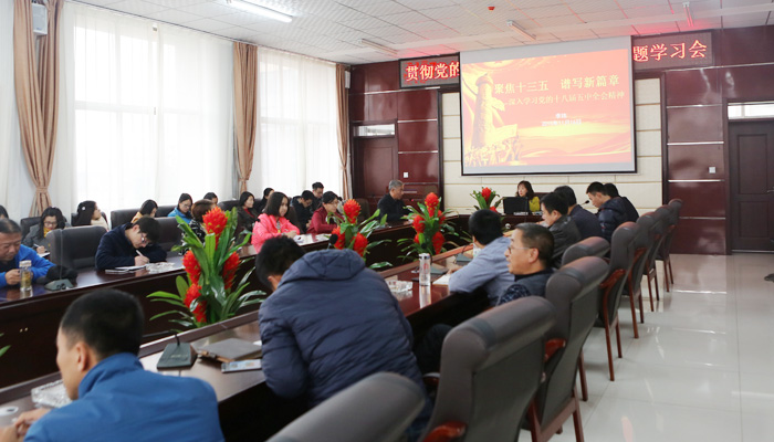 我院召开学习贯彻十八届五中全会精神专题会议