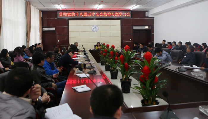 我院召开学习贯彻十八届五中全会精神专题会议